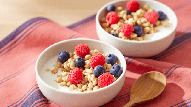 probiotic foods for gut and brain connection