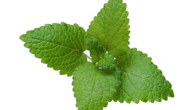 ProDentim Review KitchenMadeHealth.